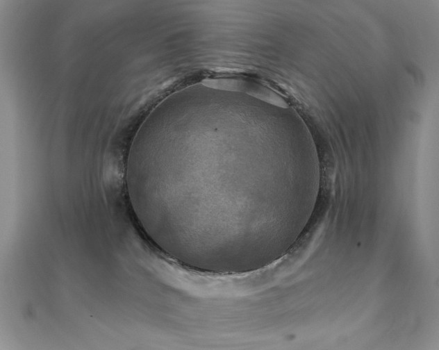 X0000112100040200908041520