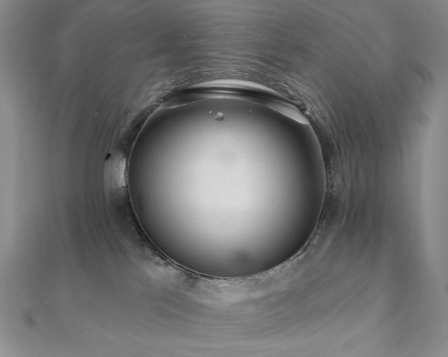 X0000112100041200908041520