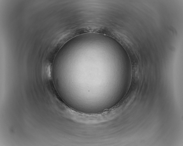 X0000112100042200908041520