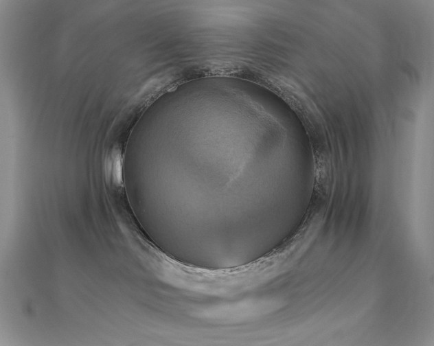 X0000112100046200908041520