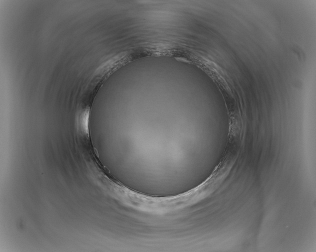 X0000112100047200908041520