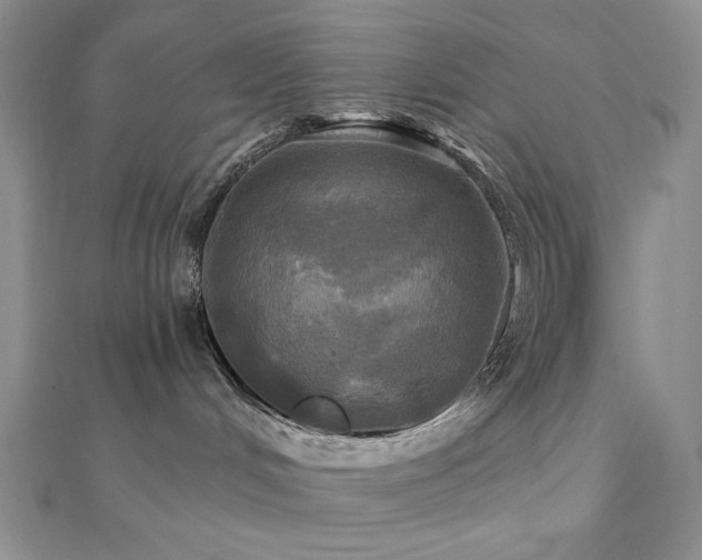 X0000112100048200908041520