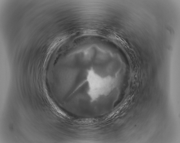 X0000112100049200908041519