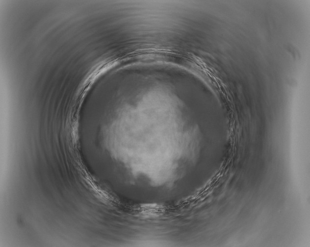 X0000112100050200908041519