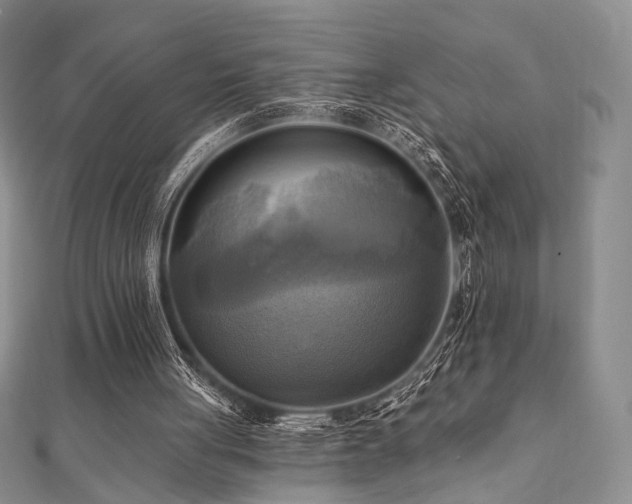 X0000112100051200908041519