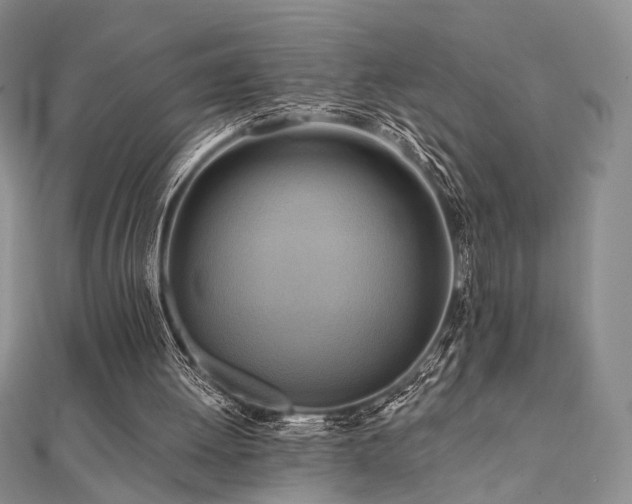X0000112100052200908041519