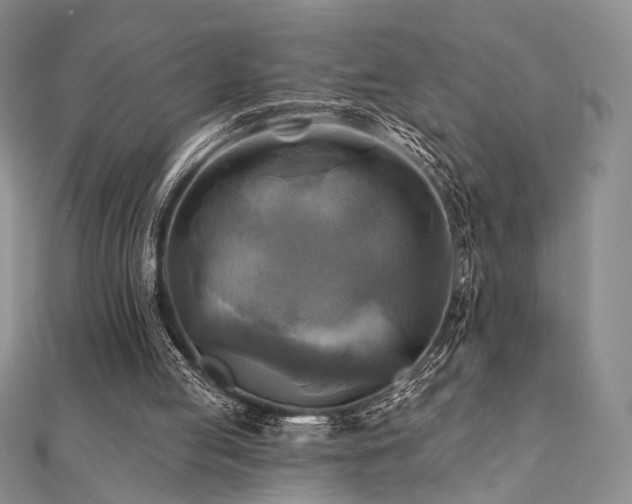 X0000112100053200908041519