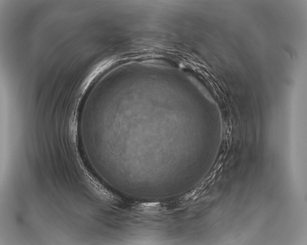 X0000112100054200908041520