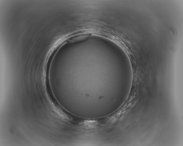 X0000112100055200908041520