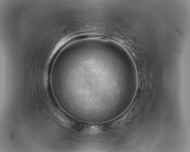 X0000112100056200908041520