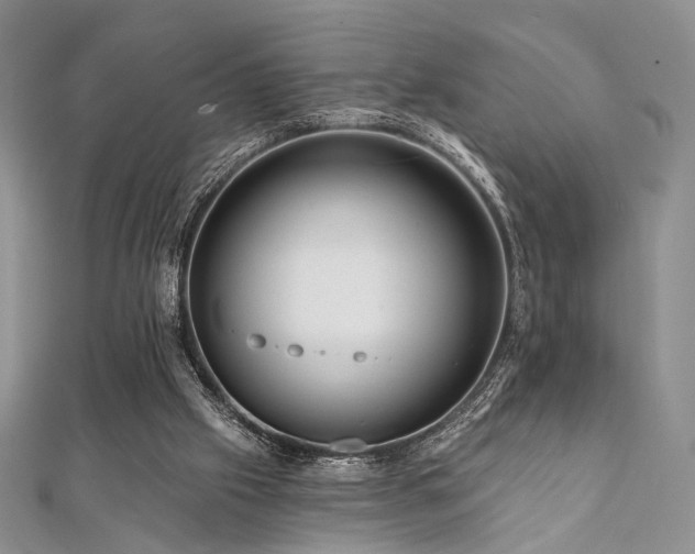 X0000112100057200908041520