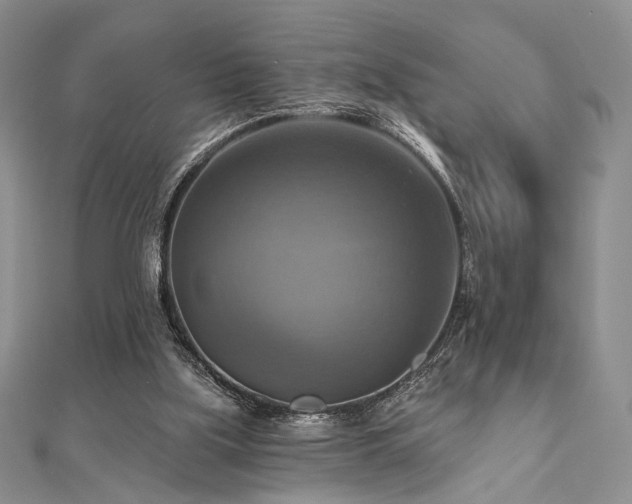 X0000112100059200908041520