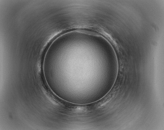 X0000112100060200908041520