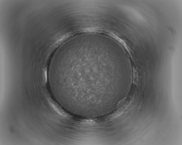 X0000112100061200908041520