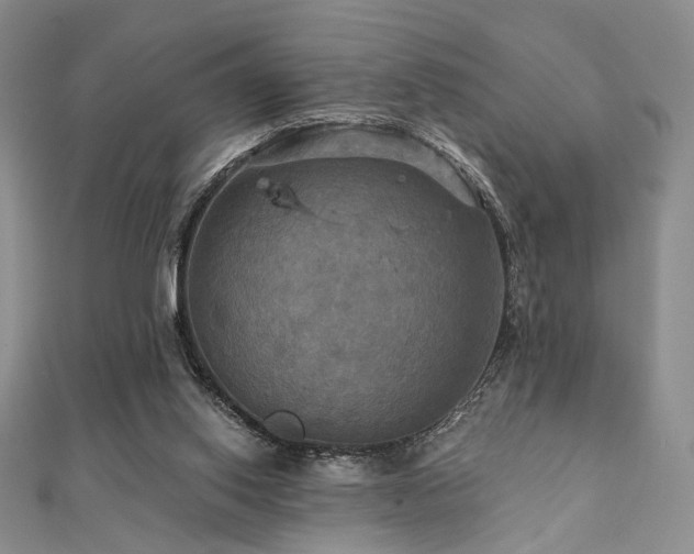 X0000112100062200908041520