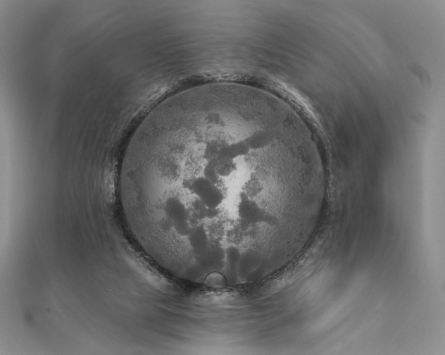 X0000112100065200908041520