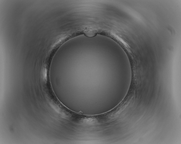 X0000112100067200908041520