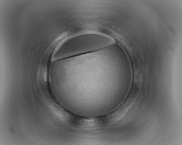 X0000112100068200908041520