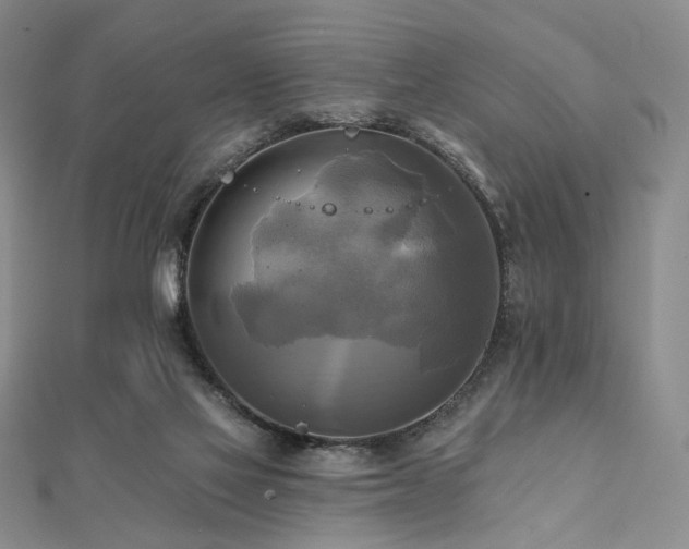 X0000112100069200908041520