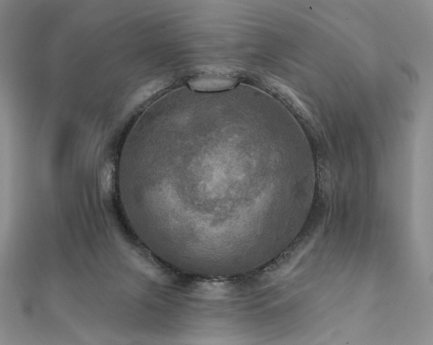 X0000112100071200908041520