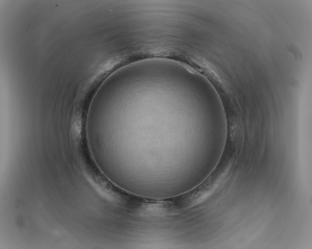 X0000112100072200908041520