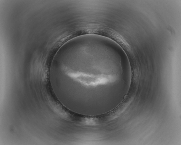 X0000112100073200908041520