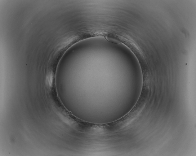 X0000112100076200908041520