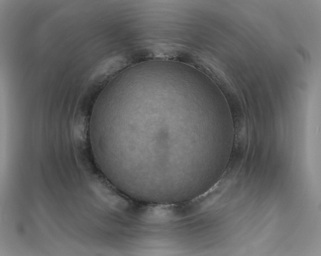 X0000112100078200908041520