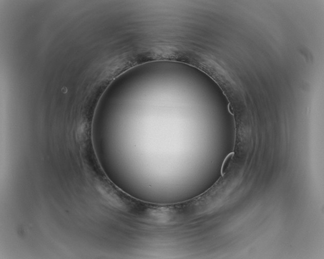 X0000112100079200908041520