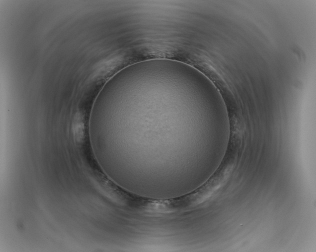 X0000112100080200908041520