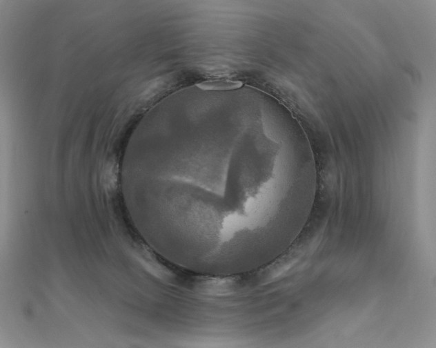 X0000112100081200908041520
