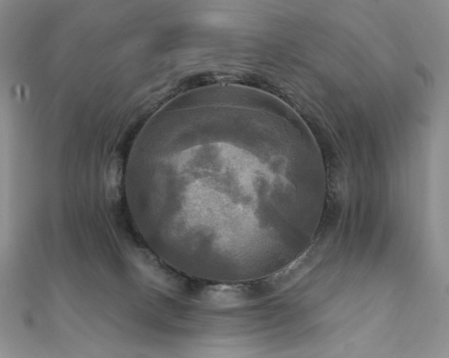 X0000112100082200908041520