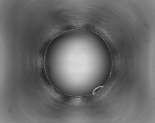 X0000112100083200908041520