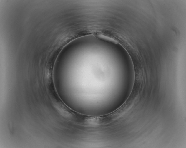 X0000112100084200908041520