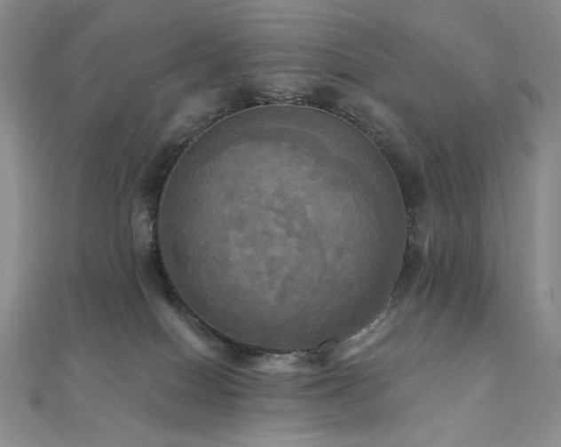 X0000112100086200908041520