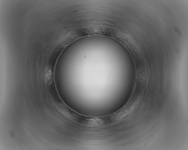 X0000112100087200908041520