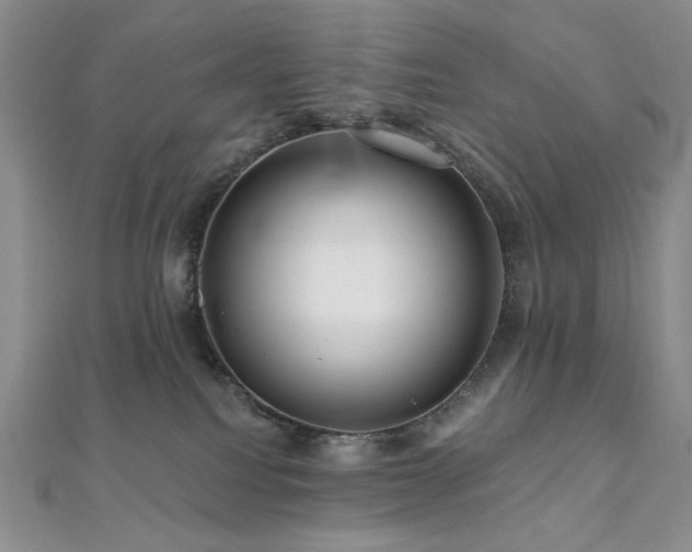 X0000112100088200908041520