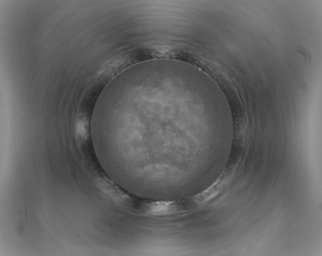 X0000112100090200908041520