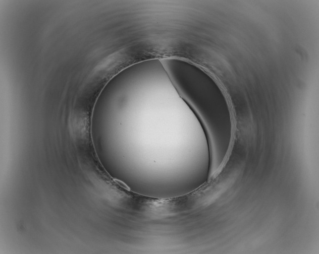 X0000112100092200908041520