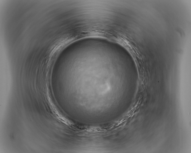 X0000112100097200908041519