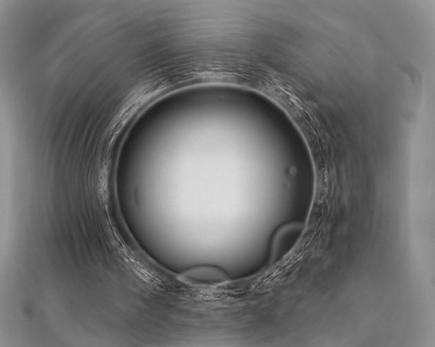 X0000112100098200908041519