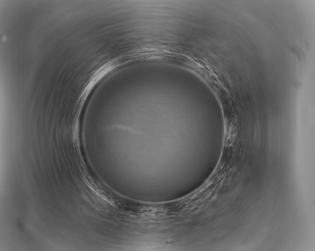 X0000112100099200908041519