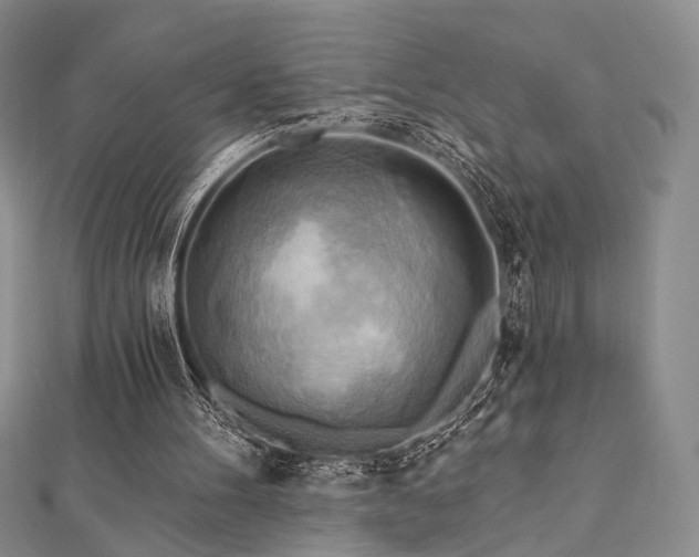 X0000112100100200908041519