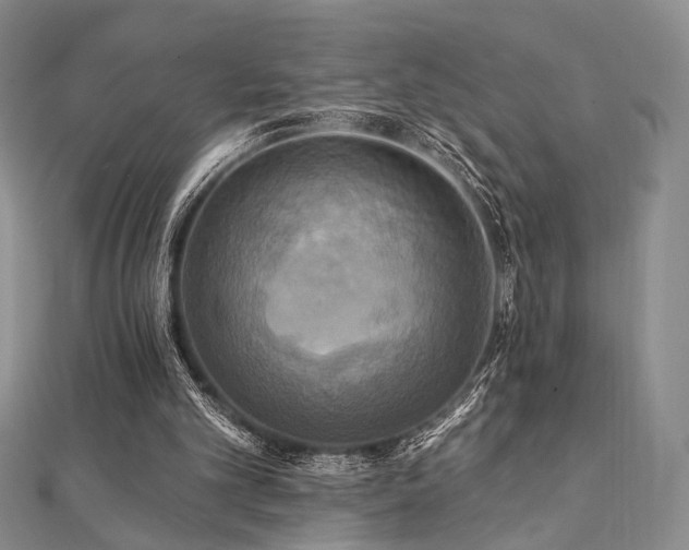 X0000112100101200908041519