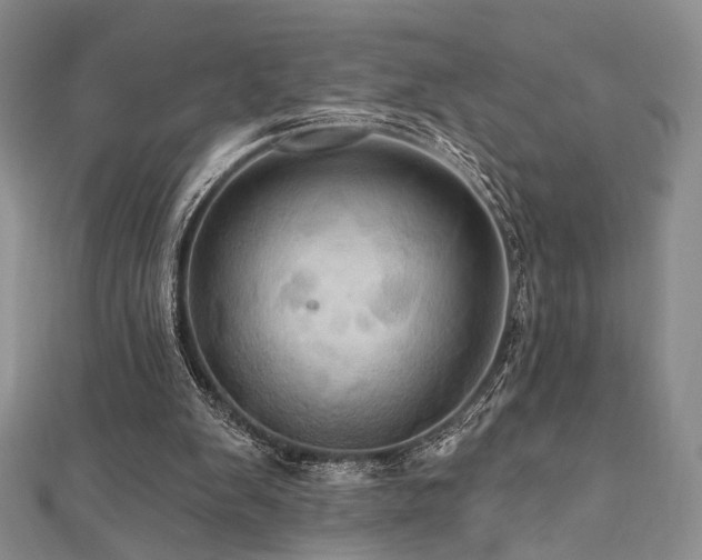 X0000112100103200908041519