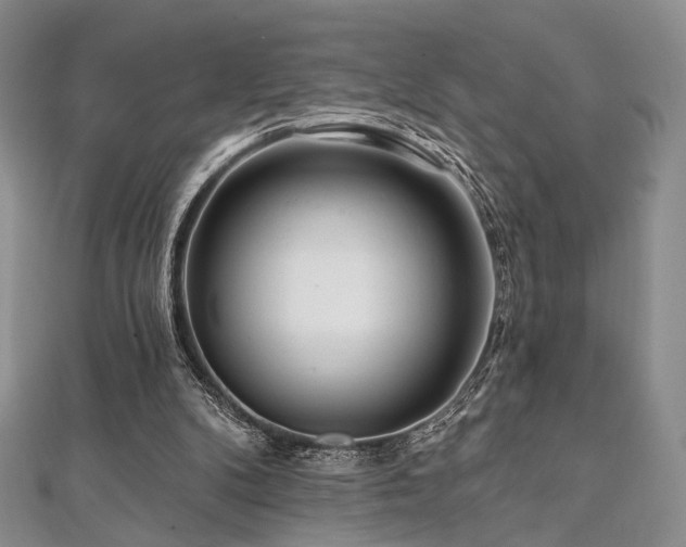 X0000112100104200908041519