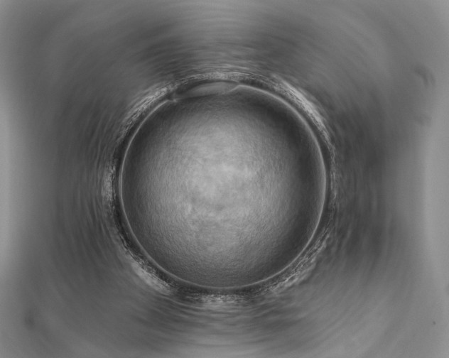 X0000112100105200908041519