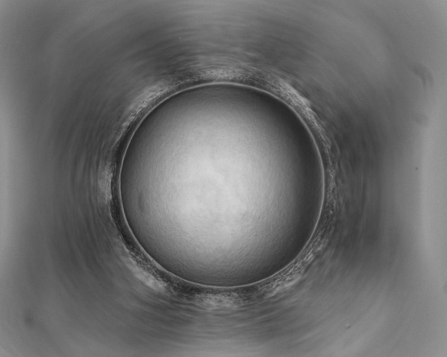 X0000112100106200908041519