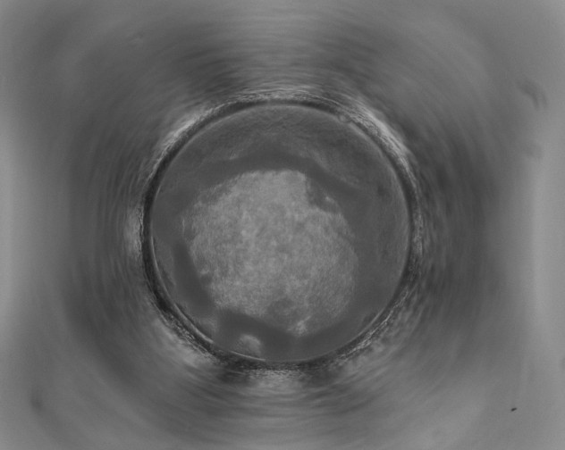 X0000112100107200908041519