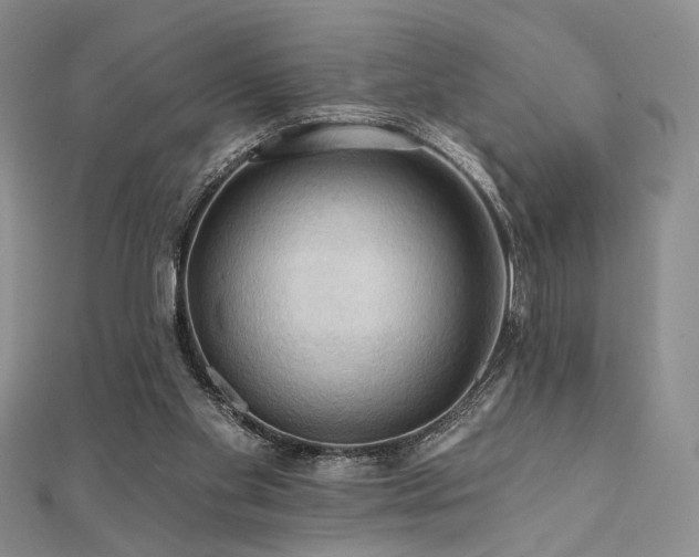 X0000112100109200908041519